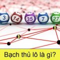 bạch thủ lô là gì? phương pháp bắt btl hiệu quả nhất